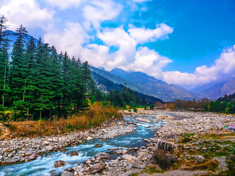 Manali hotel